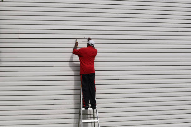Best Steel Siding Installation  in Lake Monticello, VA
